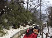 开云官方app入口-法兰克福核心重伤！救助行动多日病情未渝的简单介绍