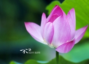 开云足球直播-厄德高闪耀友谊赛，用大师级表现证明价值，美国3-0完胜新西兰