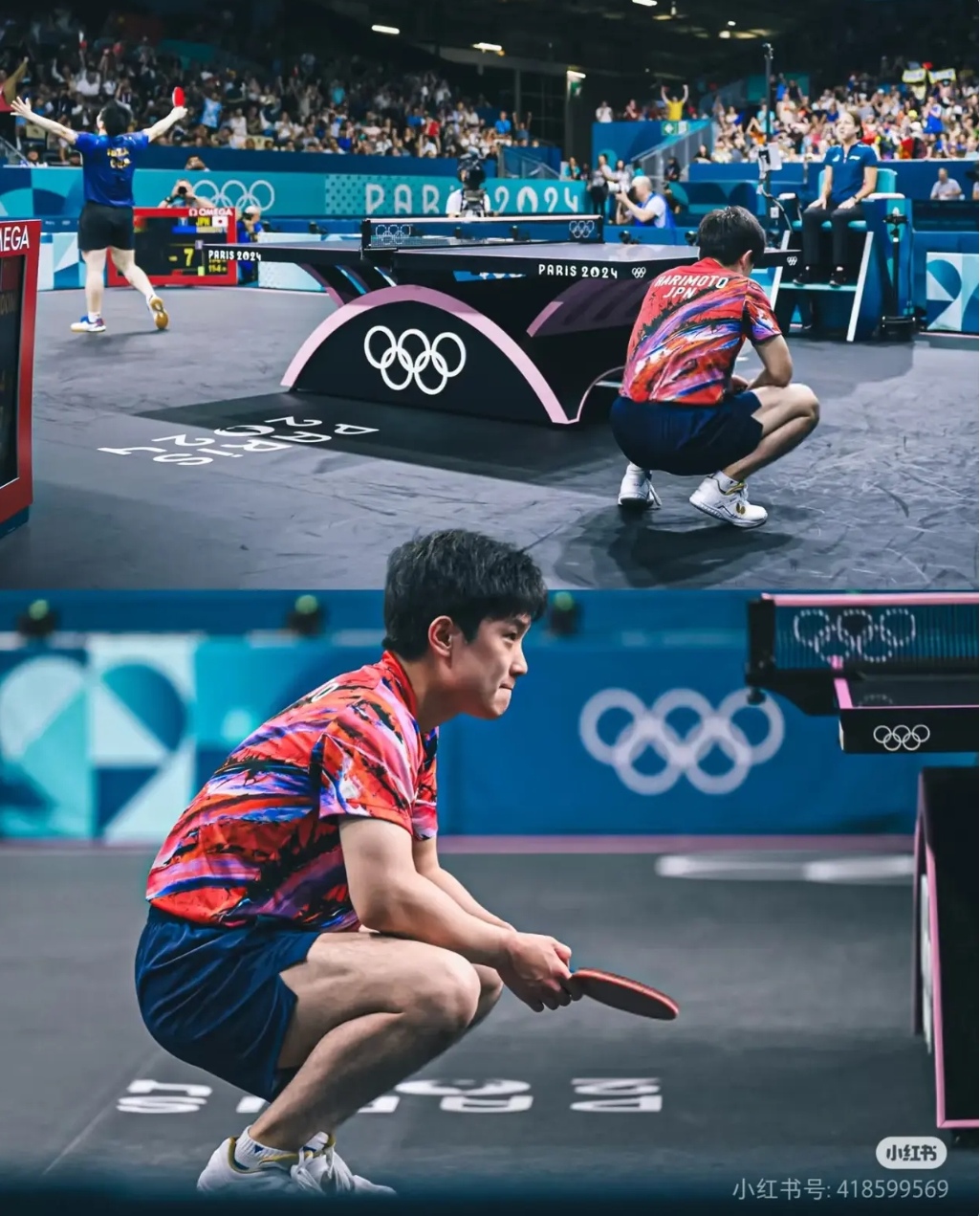 包含法国乒乓球队完胜波兰乒乓球队，张本智和送出助攻的词条