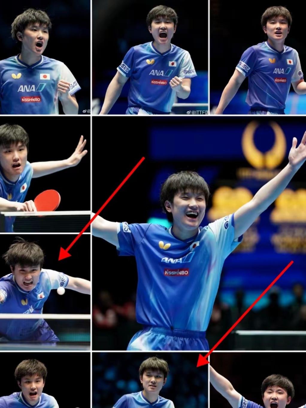 比利时乒乓球队逆转法国乒乓球队，张本智和惊艳世界的简单介绍