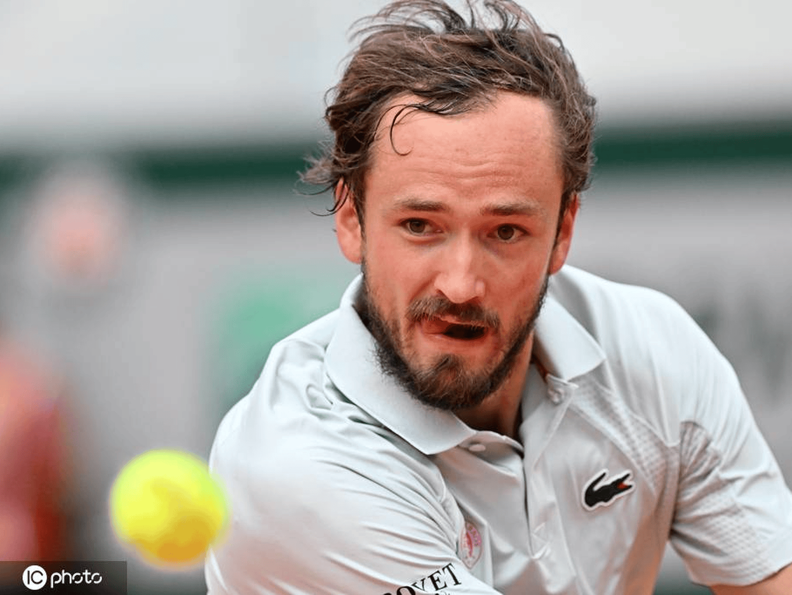 法网鏖战温网，梅德韦杰夫状态火热的简单介绍