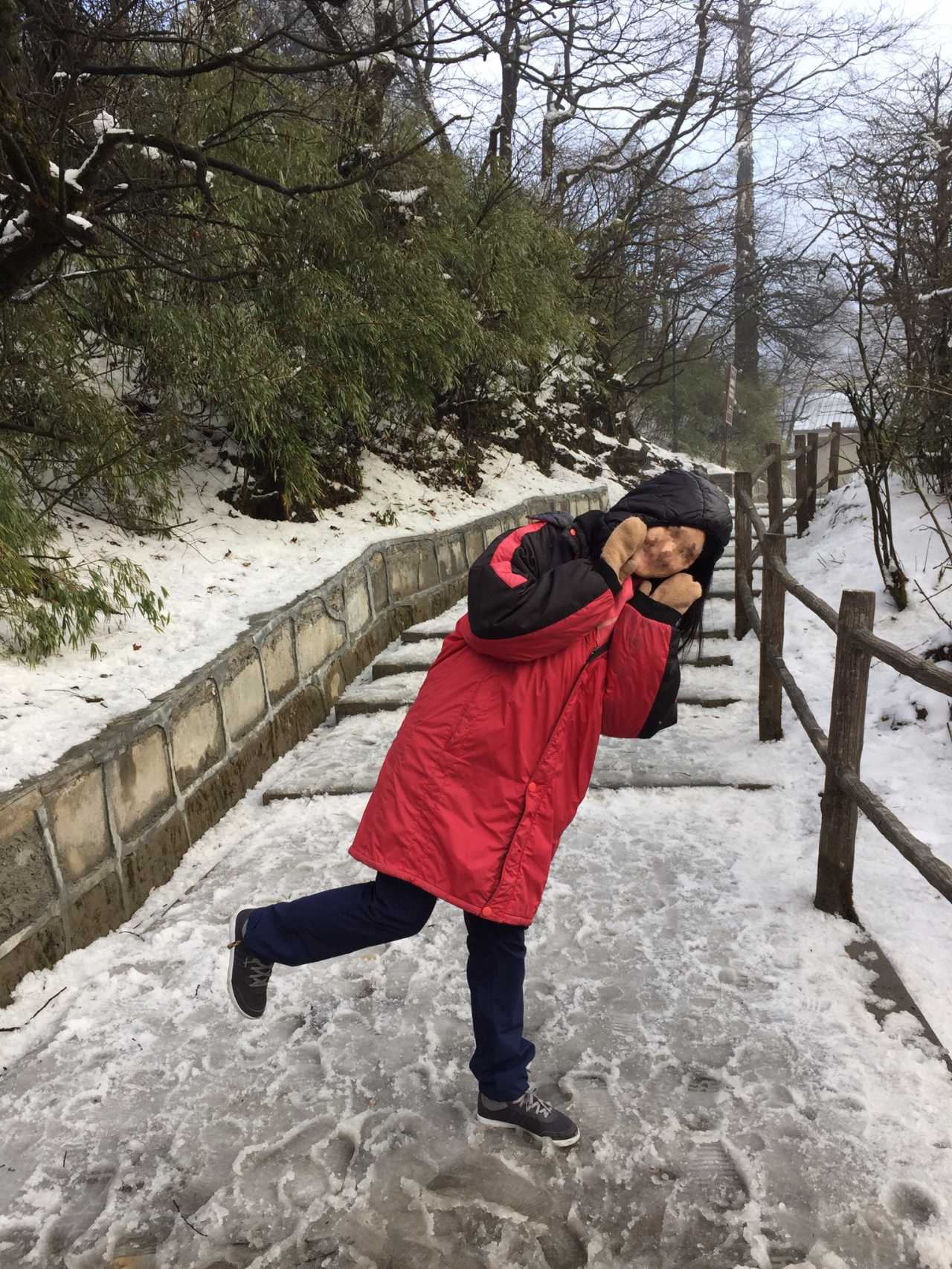 法兰克福核心重伤！救助行动多日病情未渝的简单介绍