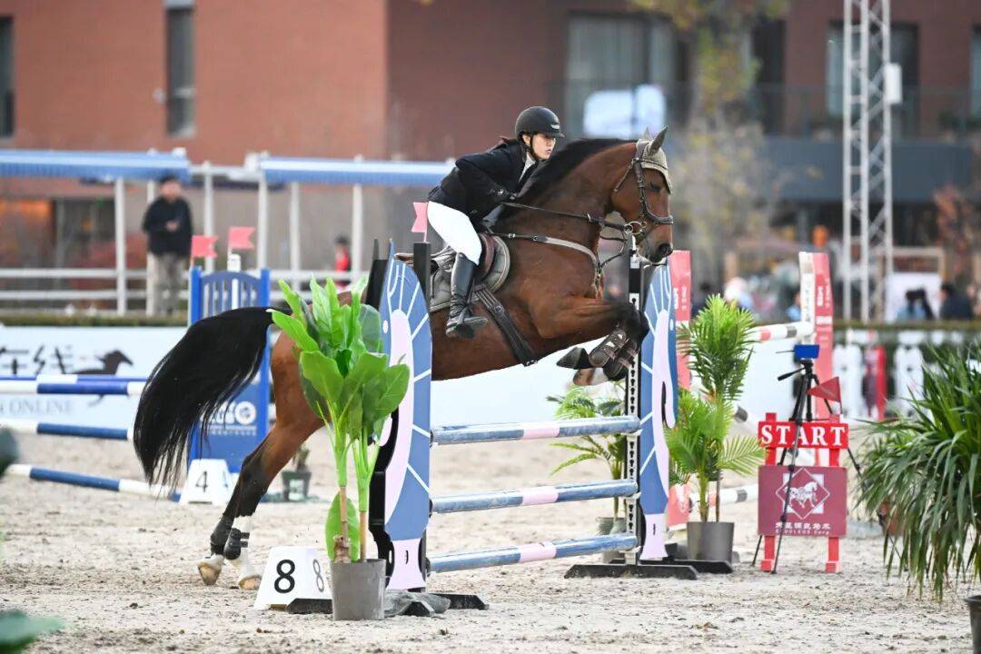 黎巴嫩代表团在马术比赛中赢得观众的欢心