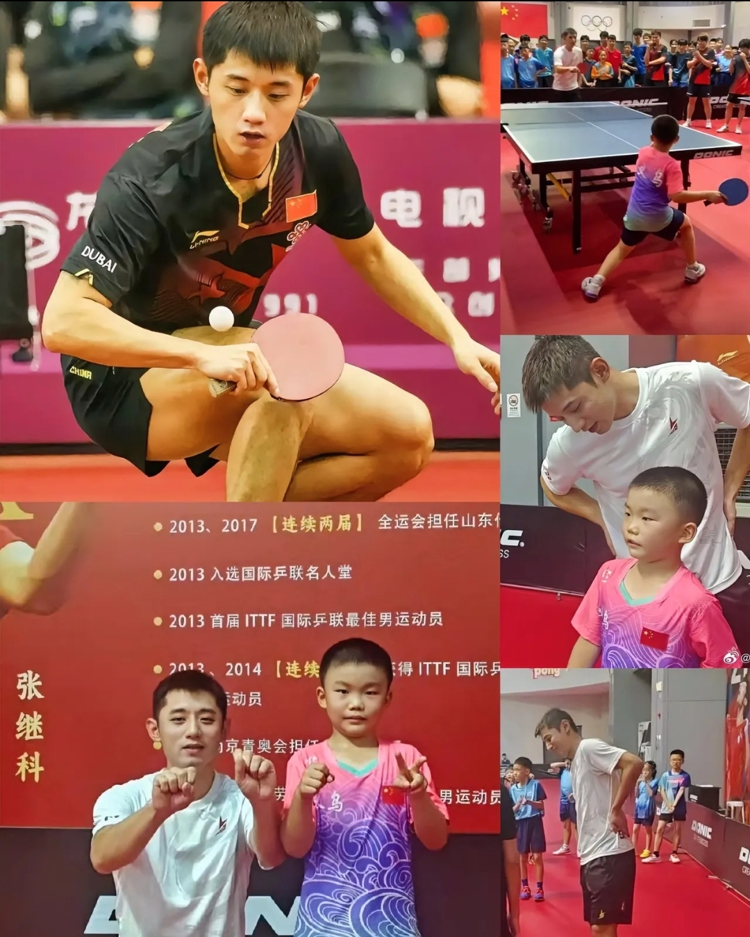 关于瑞典乒乓球队血洗比利时乒乓球队，张继科爆发神勇的信息