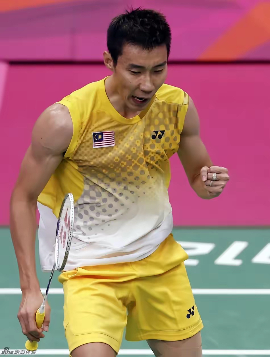 日本羽毛球队鏖战马来西亚羽毛球队，李宗伟惊艳世界的简单介绍